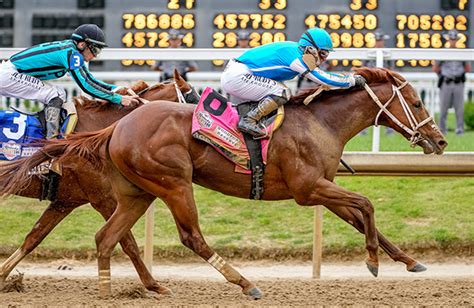 Mage Scores Kentucky Derby Victory Super Screener