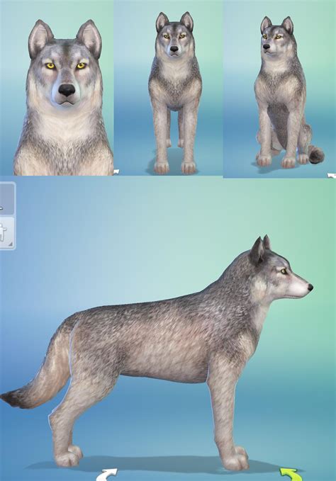 Created A Grey Wolf Should I Try To Make Different Dog Breeds I