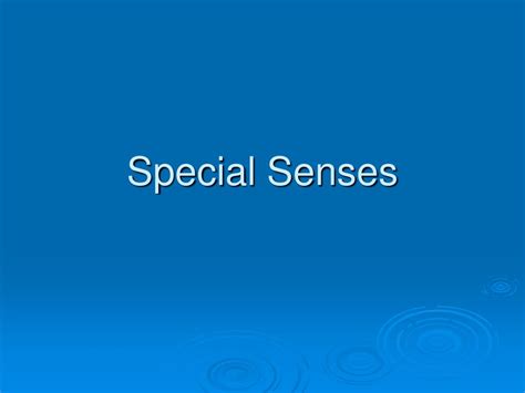 Ppt Special Senses Powerpoint Presentation Free Download Id5966343