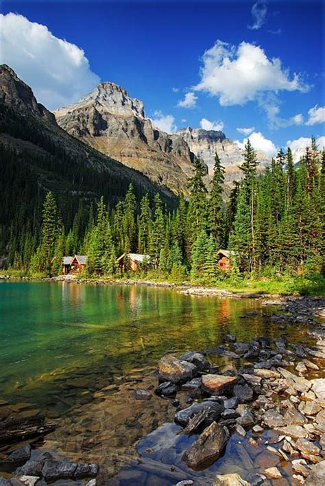 Lake Ohara Lodge Yoho National Park British Columbia Canada