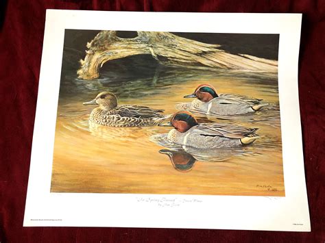 In Spring Pursuit Greenbacks 1986 Ducks Unlimited Print By Jim Foote