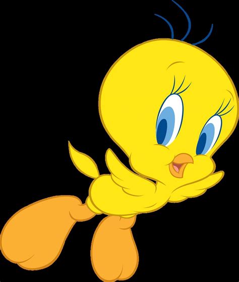 tweety cartoon wallpapers wallpaper cave