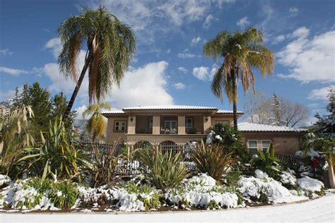 Palm Trees And Snow Freezing Weather Bites The West Nbc News