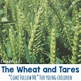 Week 12: Parable of The Wheat & Tares