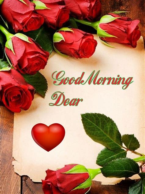 Pin By Vinayak Shetty On Good Morning Good Morning Roses Morning