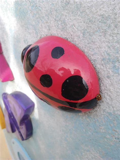 This Real Ladybug I Saw On Top Of A Fake Ladybug Outside Of A Children