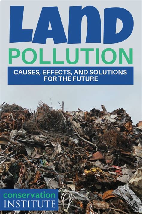 Effects Of Land Pollution