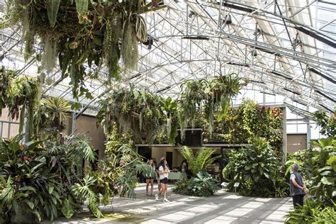 World Of Houseplants Exhibit At San Diego Botanic Garden