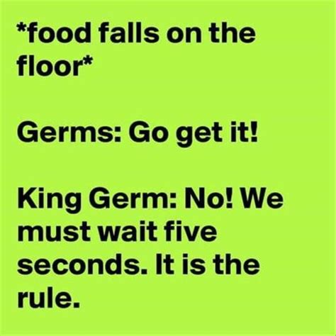 five second rule food falls on the floor germs go get it king germ no we must wait five