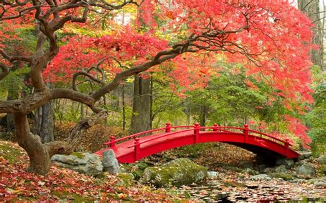 Bridges In Autumn And Pumpkin Season Brings Autumn To