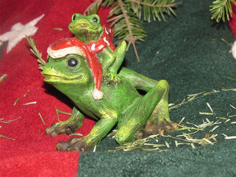Nourish The Soul The Christmas Frog
