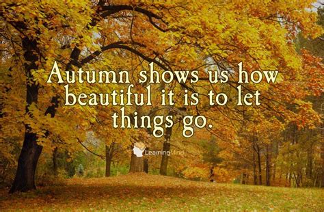 Autumn Shows Us How Beautiful It Is To Let Things Go Life Quotes