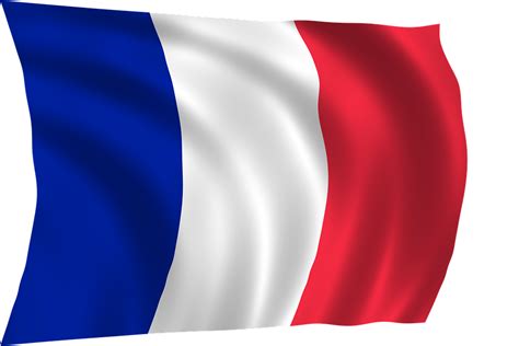 French Flag Flag