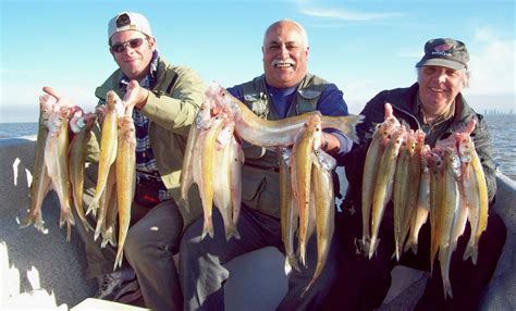 Pesca En El Río De La Plata Pesca De Pejerrey En El Rio De La Plata