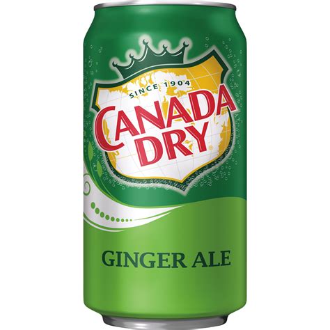 Buy Canada Dry Ginger Ale Soda 12 Fl Oz Cans 12 Pack Online At