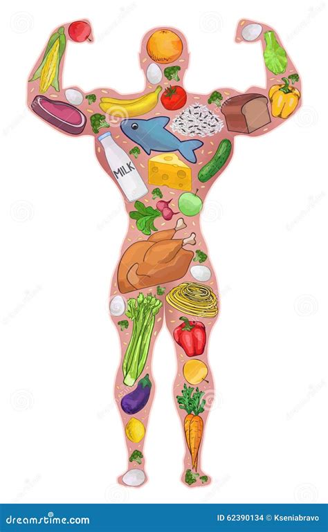 Athlete Healthy Man Food Diet Vector Illustration Stock Vector