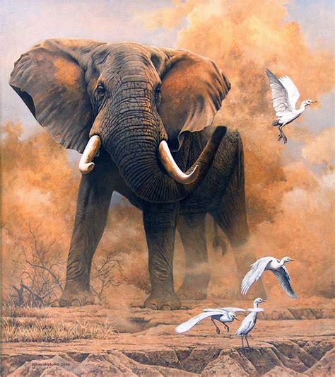 Pastels Johan Hoekstra Wildlife Art Collection Elephant Pictures