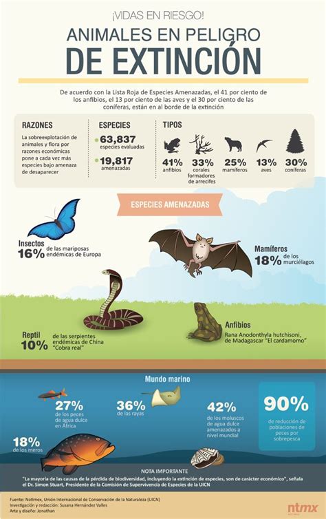 Especies Animales En Peligro De Extinción Infografías El Mundo De