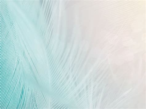 Pastel Feathers High Quality Abstract Stock Photos ~ Creative Market