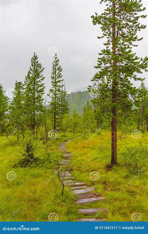 Hiking Trails In Norwegian Nature Through Mountains Forests Utladalen