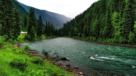 River In The Mountain Forest Fondo De Pantalla Hd Fondo De Escritorio