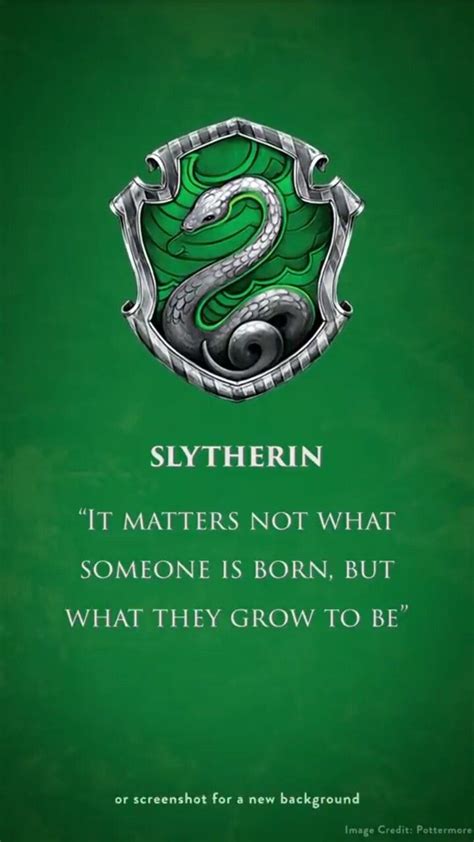 My House Slytherin Pride ️ Slytherin Harry Potter Slytherin Harry