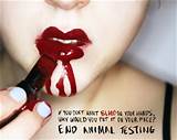 Images of Animal Makeup Testing