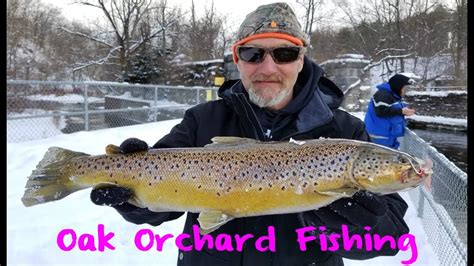 Oak Orchard Steelhead And Trout Fishing Youtube