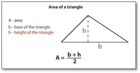 The division by 2 comes from the fact that a parallelogram can be divided into 2 triangles. Area of a triangle - Mash.ie