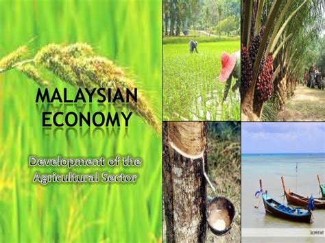 Agriculture is an important sector in malaysia. Development of Agriculture Sector in Malaysia