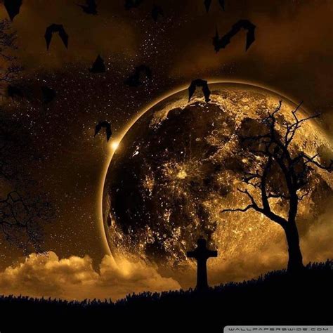 A Full Moon With Bats Flying In The Sky Above It And Trees On Either Side