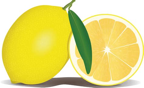 Lemon Png File Png All Png All