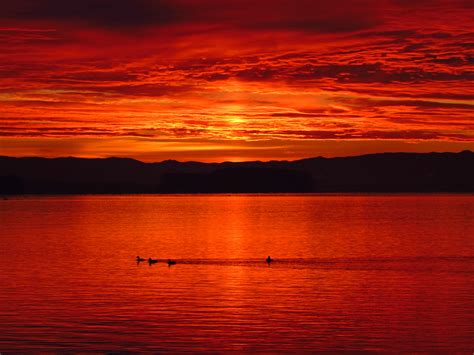 Red Sunset Lake Royalty Free Stock Photo