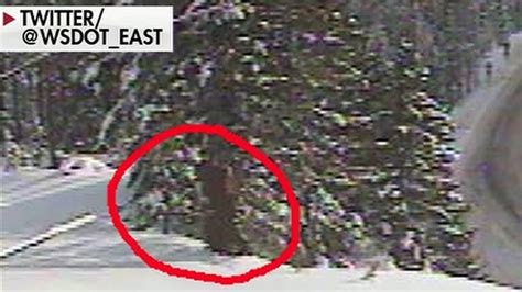 Did Washington State Dots Webcam Capture Bigfoot Image We Will Leave