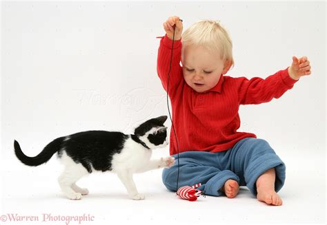 Toddler Playing With Kitten Photo Wp11648