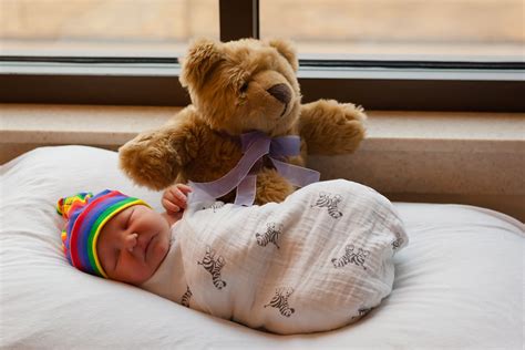 About The Comfort Cub Weighted Teddy Bear