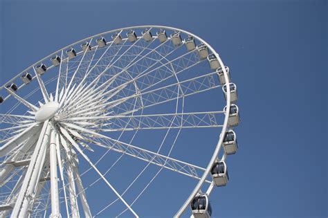 Get A Room Couple Arrested After Having Sex On Ferris Wheel