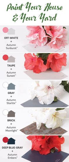 Are You A Visual Learner Here Are The Top Five Home Colors And The