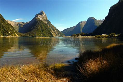 Fiordland National Park New Zealand Stock Image Image Of Coast Park