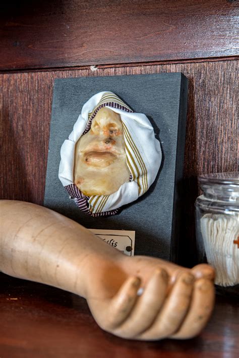 the morbid anatomy museum opens in brooklyn the new york times
