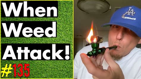 Smoking Weed Weed Fail Compilation Weed Memes And Weed Pranks 135 Youtube