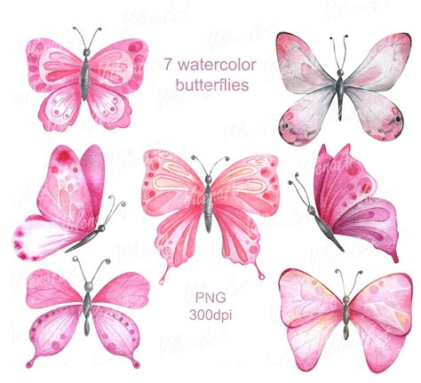 Watercolor Butterflies Butterfly Pink Clip Art Digital Baby Etsy