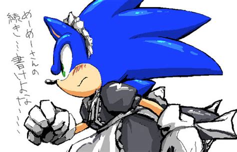 Sonic The Hedgehog Images Sonic The Maid Wallpaper And Background
