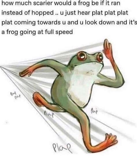 34 Fantastic Frog Memes For Amphibian Enthusiasts In 2023 Funny Memes