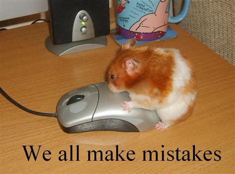 Funny Mouse Photos Funny Photos Images Funny Pictures Images Photos