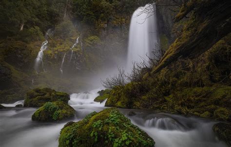 Wallpaper Forest River Stones Moss Waterfalls Columbia River Gorge