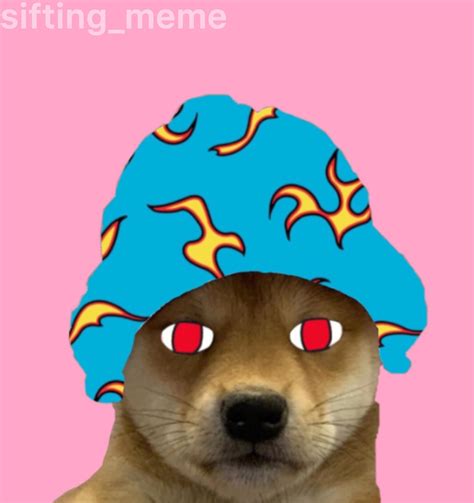 Meme Pfp Dog This Is A Fiasco Bro Cute Russian Shiba Dog Becomes