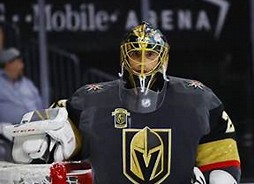 Image result for marc andre fleury knights