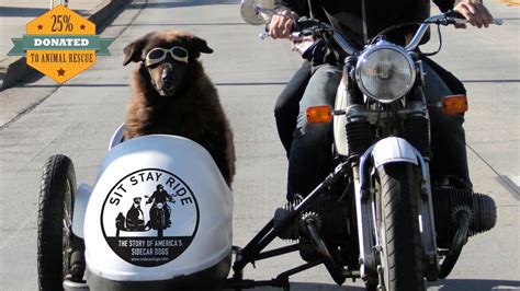 Sit Stay Ride The Story Of Americas Sidecar Dogs Official Trailer