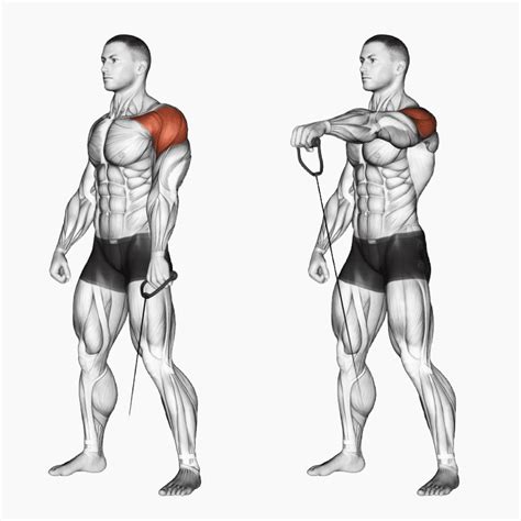 17 Cable Shoulder Exercises For Chiseled Delts Nutritioneering
